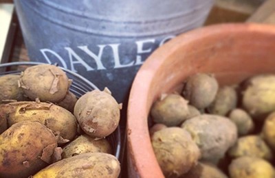 Daylesford Farm Food