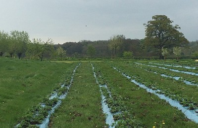 Daylesford Farm Spring Photos