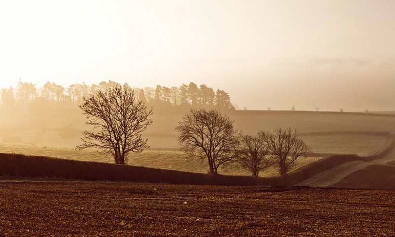 Countryside in Daylesford