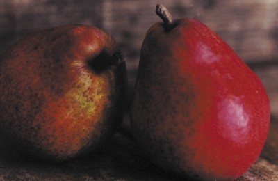 Red Pears