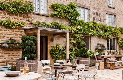 The Wild Rabbit