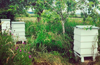 BeeKeeping_thumb