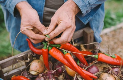 Artisan_Traditions_Thumb