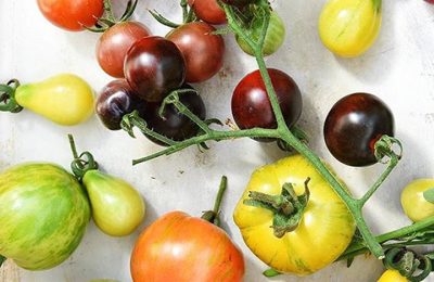 Red Tomato Chilli Jam