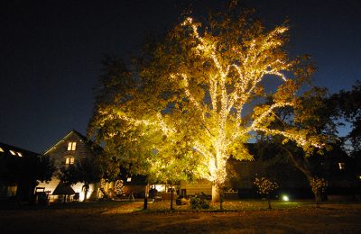 Christmas Carols at Daylesford