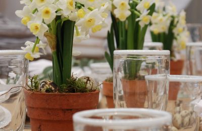 spring planting workshop for children