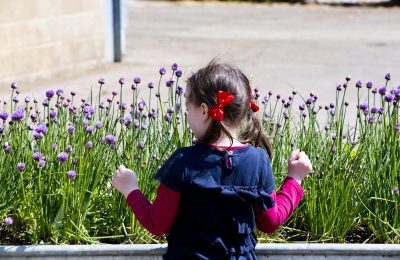 children's morning in the daylesford market garden