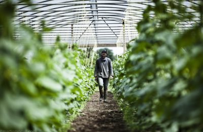 Daylesford Market Garden Tour