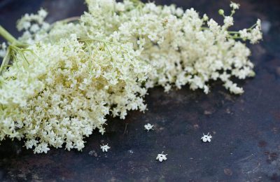 elderflower cordial recipe