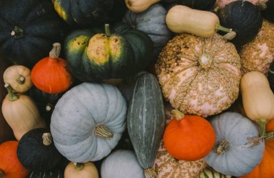 Harvest Festival 2017