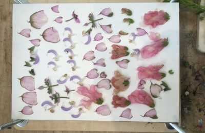 flower pressing workshop