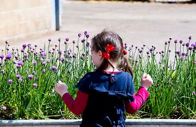 Child And Flowers