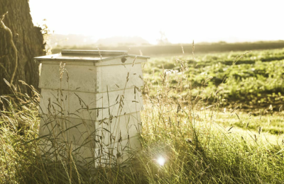 Daylesford Honey
