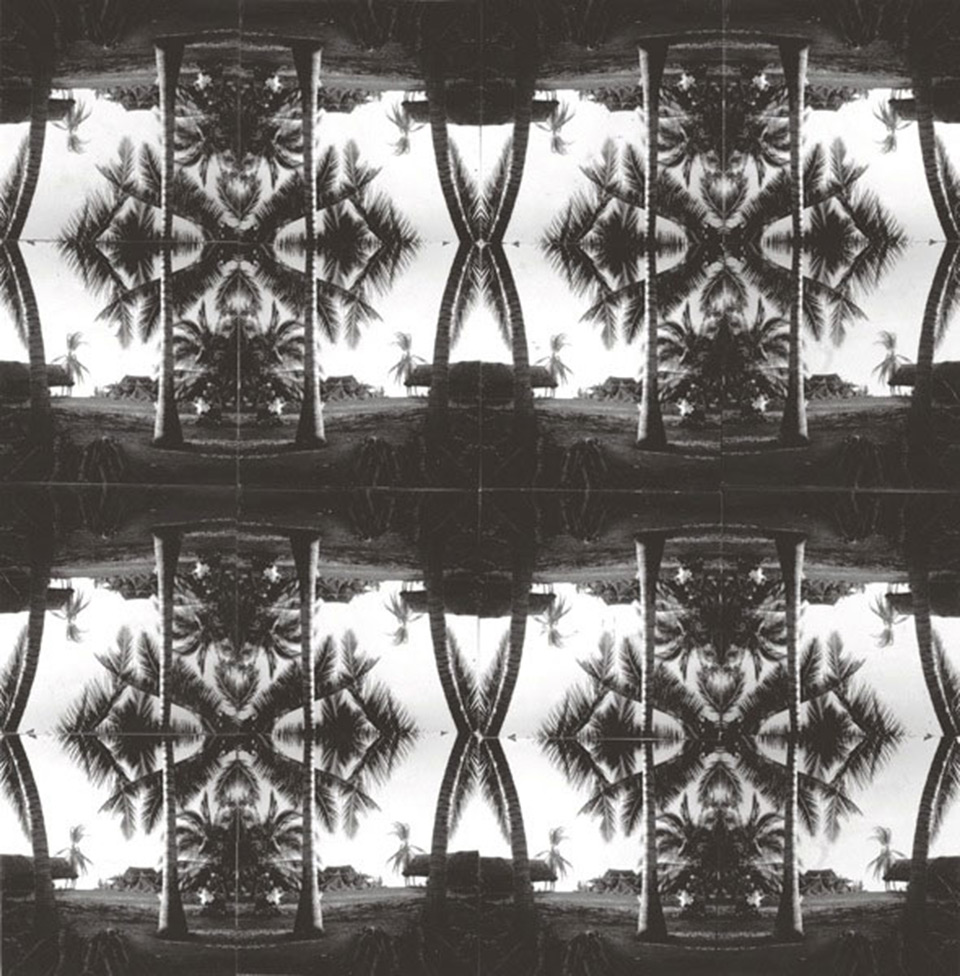 Horst patterns from nature carole bamford