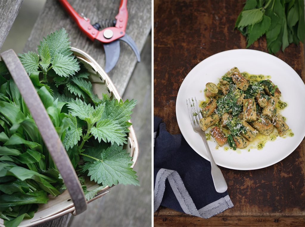 Nettle Gnocchi