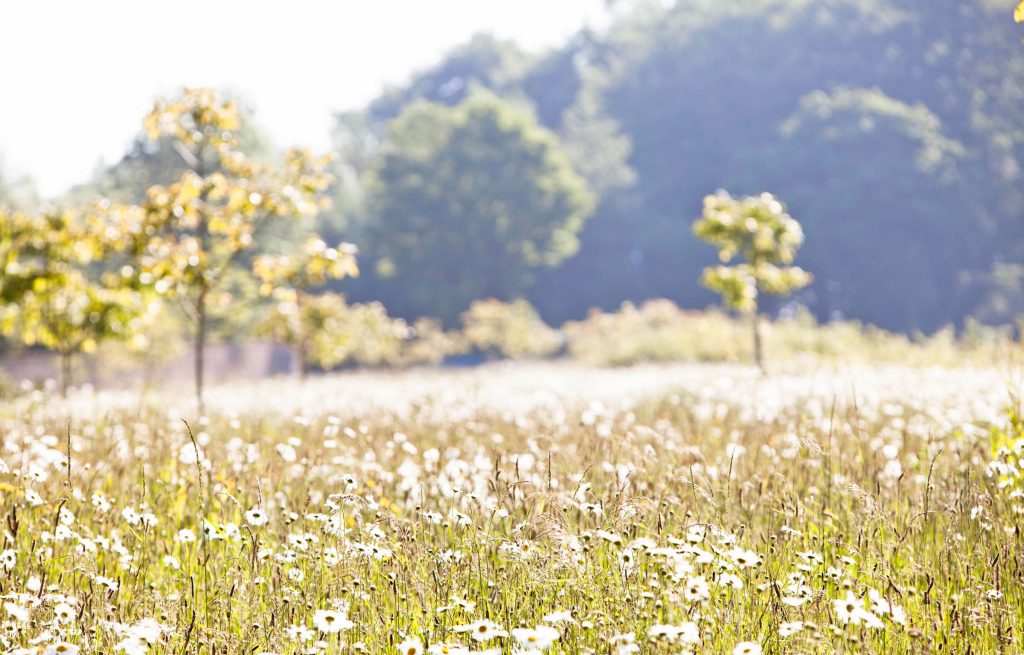 daylesford organic bee habitat