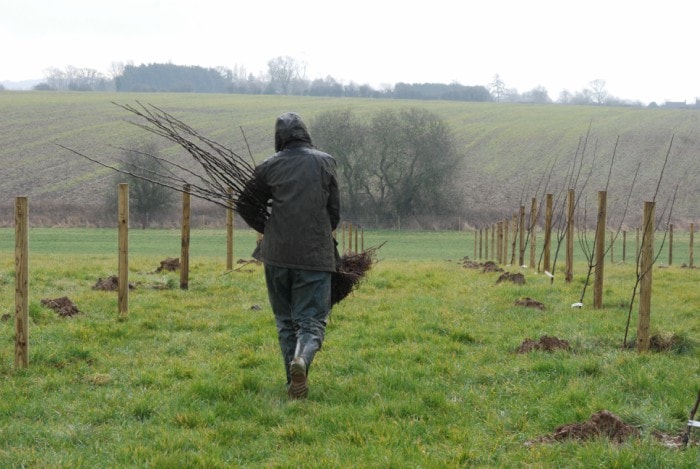 Man walking through field